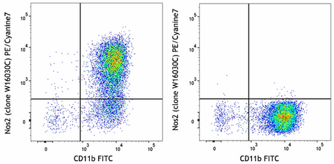 PE/Cyanine7 anti-Nos2 (iNOS)