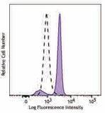 PE/Cyanine7 anti-STAT1 Phospho (Ser727)