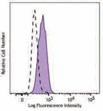 PE/Cyanine7 anti-STAT1 Phospho (Ser727)