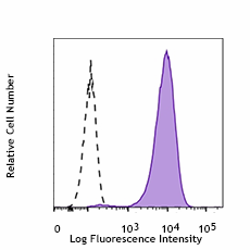 PE/Cyanine7 anti-Tubulin β 3 (TUBB3)