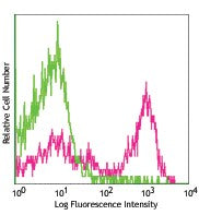 PE/Cyanine7 Goat anti-rat IgG (minimal x-reactivity)