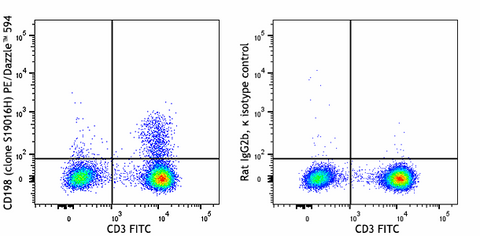 PE/Dazzle™ 594 anti-human CD198 (CCR8)