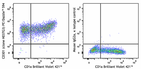 PE/Dazzle™ 594 anti-human CD301 (CLEC10A)