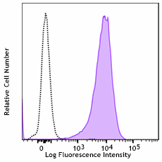 PE/Dazzle™ 594 anti-human CD47