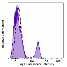 PerCP anti-human CD19