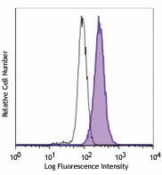 PerCP/Cyanine5.5 anti-GATA3