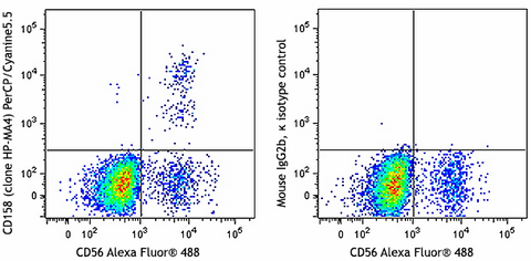 PerCP/Cyanine5.5 anti-human CD158 (KIR2DL1/S1/S3/S5)