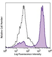 PerCP/Cyanine5.5 anti-human CD192 (CCR2)