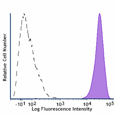 PerCP/Cyanine5.5 anti-human CD48