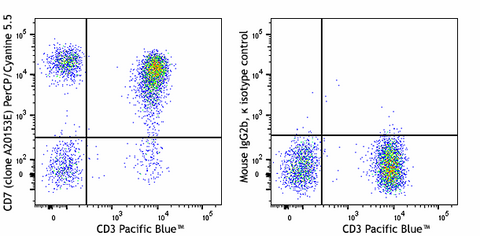 PerCP/Cyanine5.5 anti-human CD7