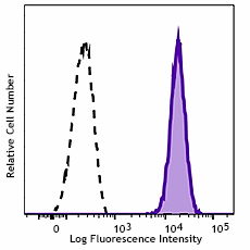 PerCP/Cyanine5.5 anti-mouse CD104