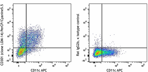 PerCP/Cyanine5.5 anti-mouse CD301 (MGL1/MGL2)