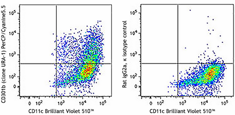 PerCP/Cyanine5.5 anti-mouse CD301b (MGL2)