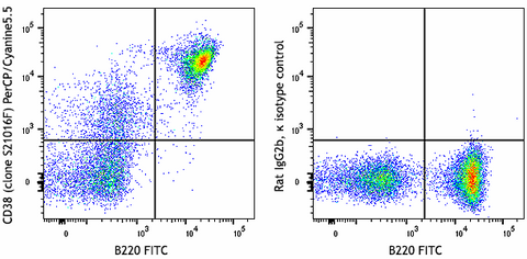 PerCP/Cyanine5.5 anti-mouse CD38