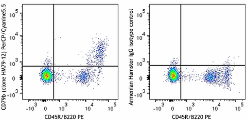 PerCP/Cyanine5.5 anti-mouse CD79b (Igβ)