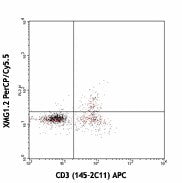 PerCP/Cyanine5.5 anti-mouse IFN-γ