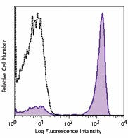 PerCP/Cyanine5.5 anti-mouse IgG2a