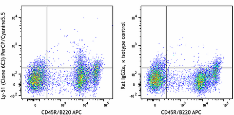 PerCP/Cyanine5.5 anti-mouse Ly-51