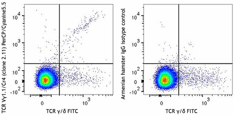 PerCP/Cyanine5.5 anti-mouse TCR Vγ1.1/Cr4