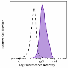 PerCP/Cyanine5.5 anti-RPS6 Phospho (Ser244)