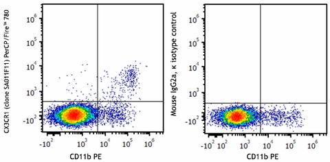 PerCP/Fire™ 780 anti-mouse CX3CR1