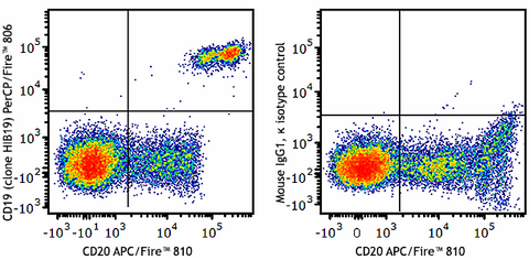 PerCP/Fire™ 806 anti-human CD19