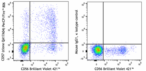 PerCP/Fire™ 806 anti-human CD57 Recombinant