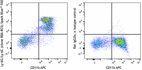Spark Blue™ 550 anti-mouse Ly-6G/Ly-6C (Gr-1)