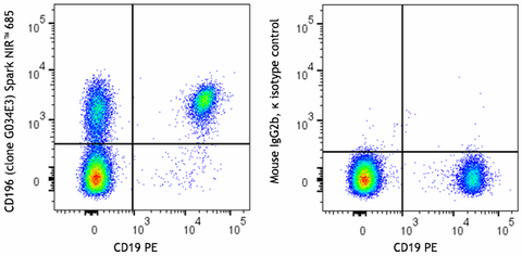 Spark NIR™ 685 anti-human CD196 (CCR6)