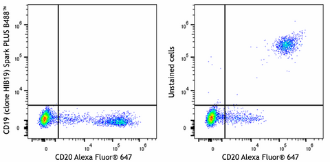 Spark PLUS B488™ anti-human CD19