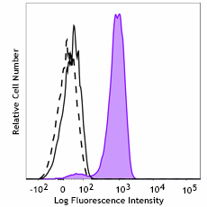 Spark PLUS B488™ anti-NF-κB p65 Phospho (Ser529)