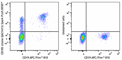 Spark PLUS B550™ anti-human CD185 (CXCR5) Recombinant