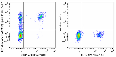 Spark PLUS B550™ anti-human CD196 (CCR6) Recombinant
