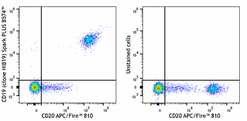 Spark PLUS B574™ anti-human CD19