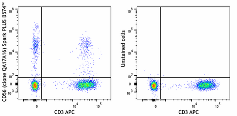 Spark PLUS B574™ anti-human CD56 (NCAM) Recombinant