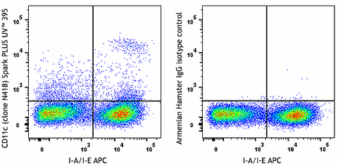 Spark PLUS UV™ 395 anti-mouse CD11c