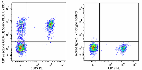 Spark PLUS UV395™ anti-human CD196 (CCR6)