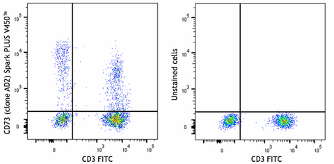 Spark PLUS V450™ anti-human CD73 (Ecto-5'-nucleotidase)