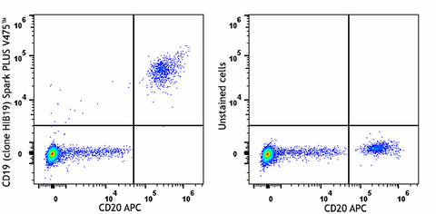 Spark PLUS V475™ anti-human CD19