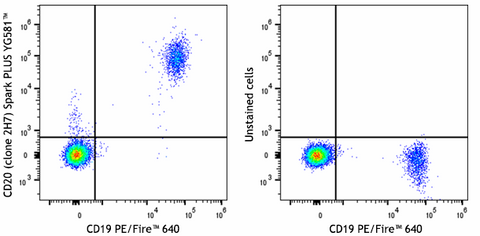 Spark PLUS YG581™ anti-human CD20
