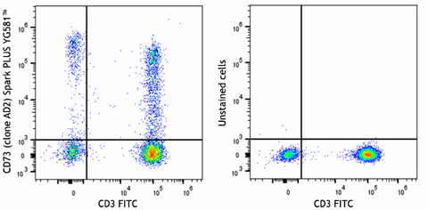 Spark PLUS YG581™ anti-human CD73 (Ecto-5'-nucleotidase)
