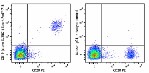 Spark Red™ 718 anti-human CD19