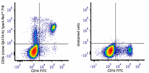 Spark Red™ 718 anti-human CD56 (NCAM) Recombinant