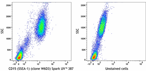 Spark UV™ 387 anti-human CD15 (SSEA-1)