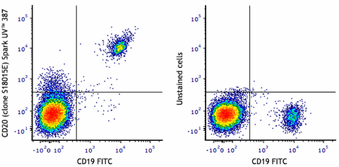 Spark UV™ 387 anti-human CD20