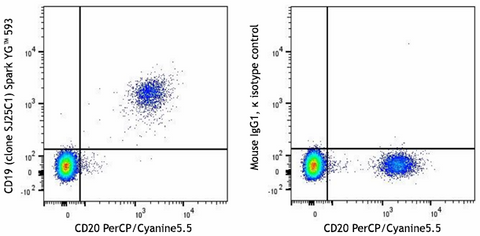 Spark YG™ 593 anti-human CD19