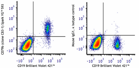 Spark YG™ 593 anti-human CD79b (Igβ)