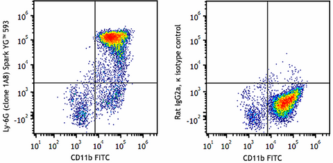 Spark YG™ 593 anti-mouse Ly-6G