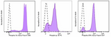 Veri-Cells™ Phospho PBMC (MAPK/ERK Pathway)