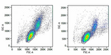 Veri-Cells™ Phospho PBMC (MAPK/ERK Pathway)